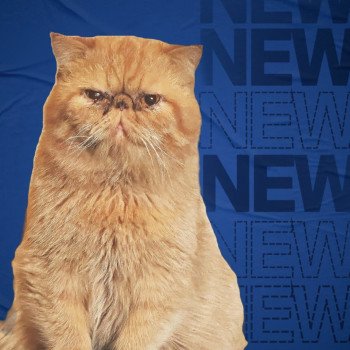 Mariage Valkyria ❤ Garfield