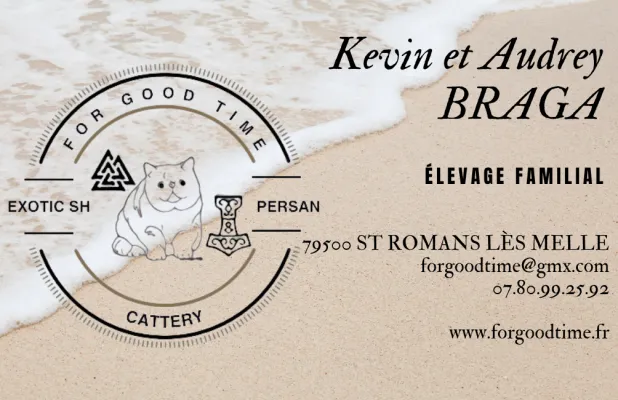 For Good Time cattery